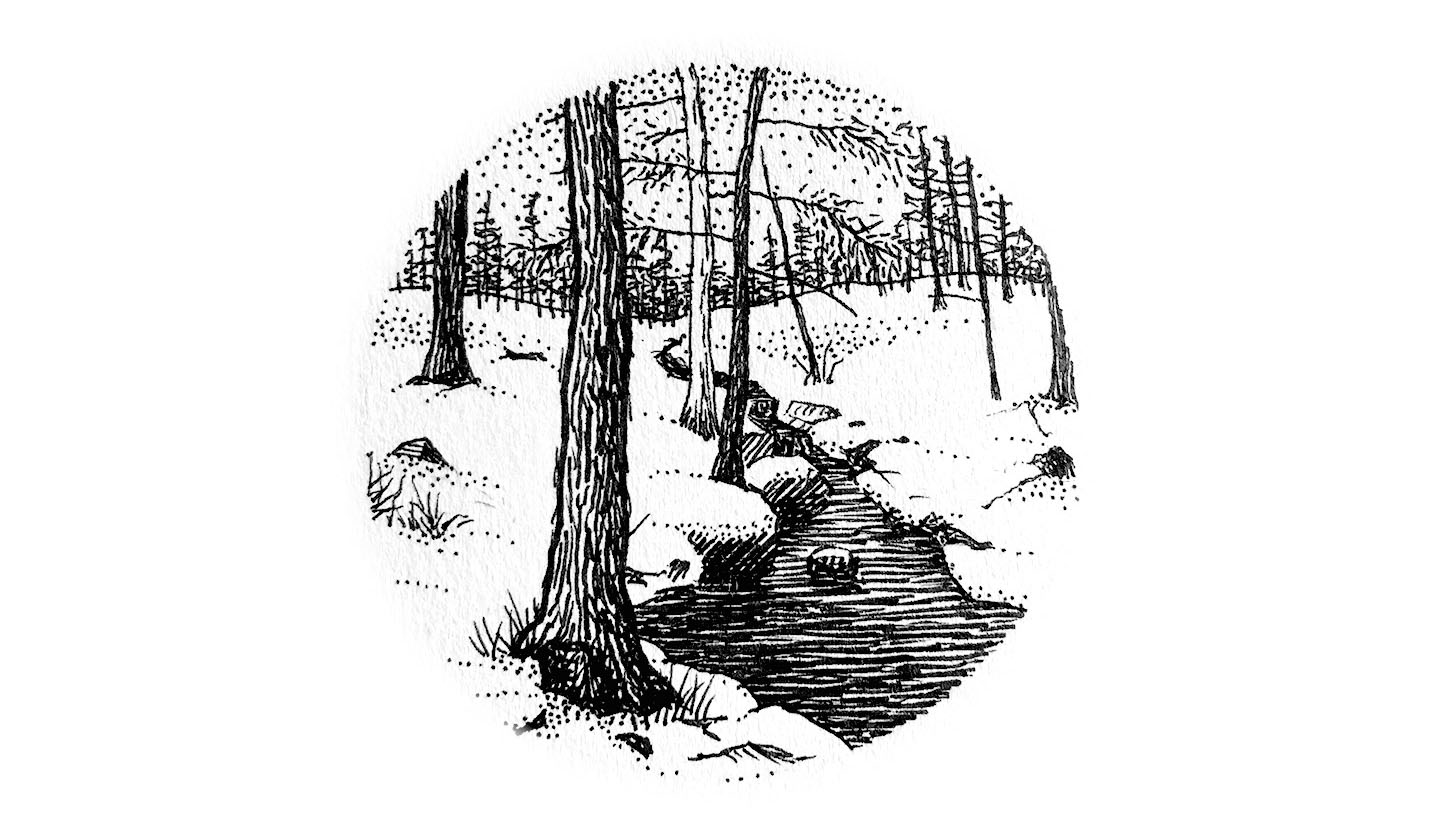 Winter Creek